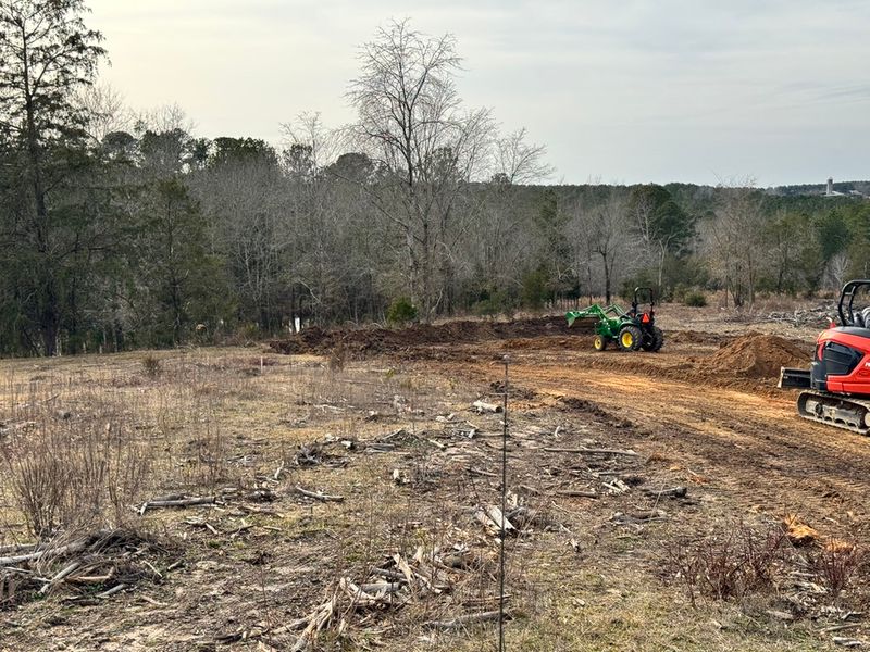 Land clearing project